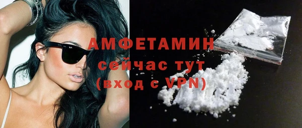 твердый Ельня