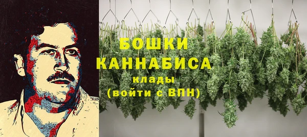 твердый Ельня