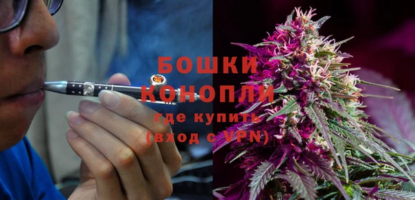 твердый Ельня