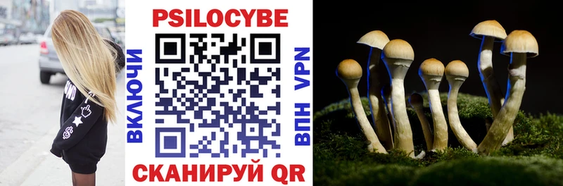 Псилоцибиновые грибы Cubensis Вологда