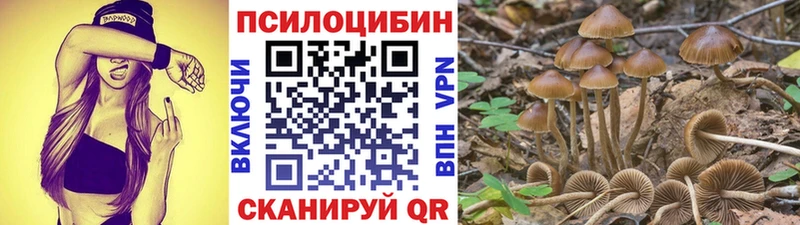 omg зеркало  цены наркотик  Вологда  Псилоцибиновые грибы Magic Shrooms 